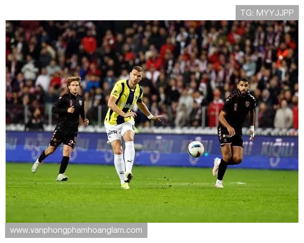 费内巴切防守数据