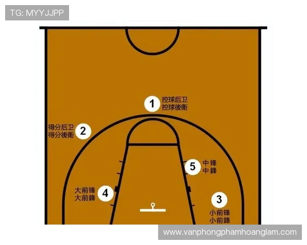 什么是篮球比赛中的后场规则？新人必看