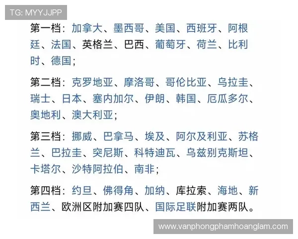 世界杯巴拉圭队D组夺分策略分析 世界杯巴拉圭队D组夺分策略分析