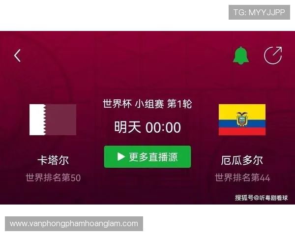 厄瓜多尔世界杯数据统计分析